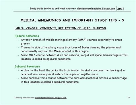 Dentistry And Medicine Study Guide For Head And Neck Anatomy Medical