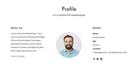Web Developer Job Profile Css Template