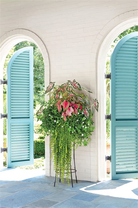 Spectacular Container Gardening Ideas Southern Living