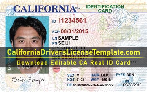 California Drivers License Template Photoshop Verified