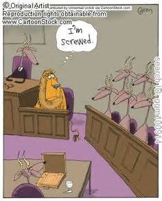 A supremely zany sitcom that was created and executive produced by reinhold weege, produced by his company … 70 Best Lawyer Humor images | Lawyers, Lawyer jokes, Law ...