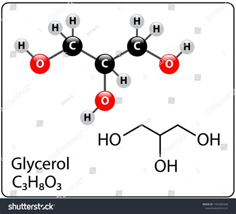 Glycerol Molecule Structure Stock Vector Royalty Free 1359283448