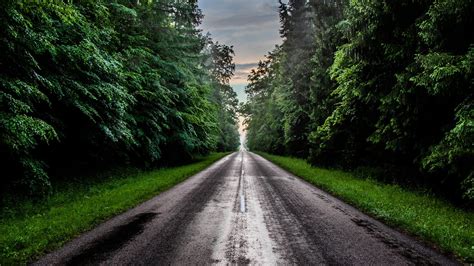 Road Between Green Grass Field And Trees Hd Nature Wallpapers Hd