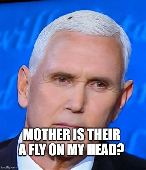 Mike Pence Fly Imgflip