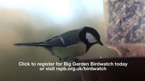 Rspb Big Garden Birdwatch Youtube