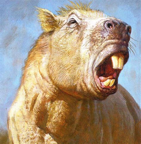 Giant Ancient Rodents May Have Used Their Teeth Like An Elephants