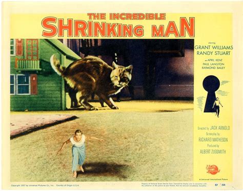 Incredible Shrinking Man 1957 Posters Details Four Color Comics