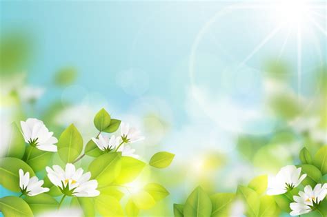 Spring Background Free Vectors Stock Photos And Psd