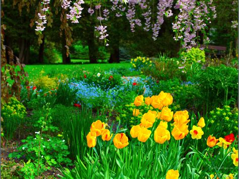 42 1024x768 Desktop Wallpaper Spring Flowers On