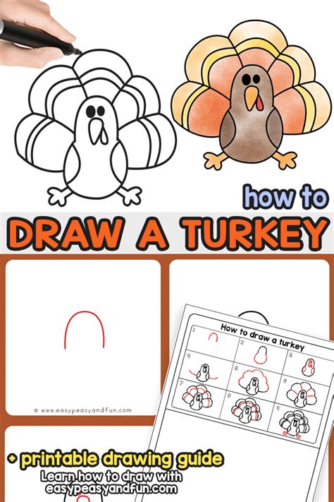 How To Draw A Turkey Thanksgiving Drawings Turkey Drawing Easy