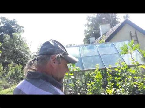 Appletreeman (andrew lear) propagates and sells hardy, heritage and scottish fruit trees. Scottish Heritage Fruit Trees