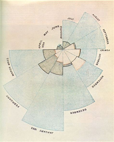 Polar Area Diagrams Printable Diagram Enfermagem Arquitetura