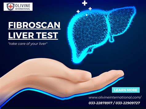 The Comprehensive Guide To Fibroscan Liver Tests