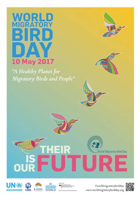 International Migratory Bird Day Save A Chain Of Protected Areas Along