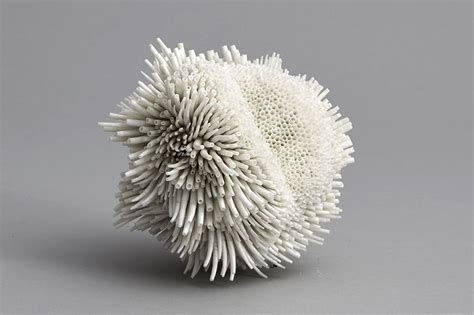 Abstract Sculptures Made With Swirls Of Seashells By Rowan Mersh