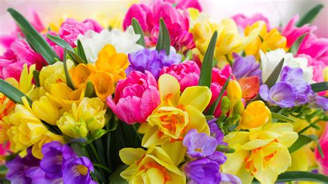 Beautiful Bunch Of Colorful Flowers 4k Hd Flowers Wallpapers Hd