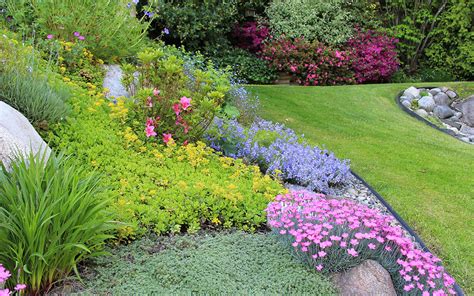 This handsome border is neatly tucked away between a privacy fence and a retaining wall alongside a busy street. Best Ground Cover Plants and How to Use Them - David Domoney