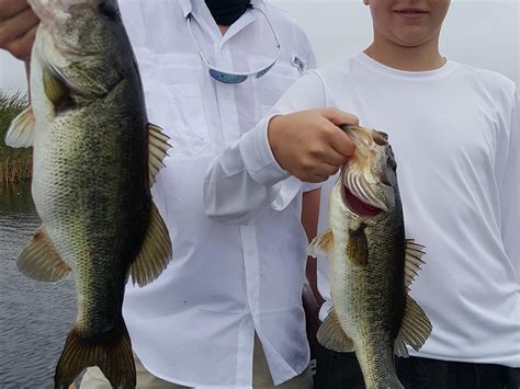 Hooksetter Adventures Clewiston 2022 What To Know Before You Go