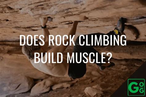 Does Rock Climbing Build Muscle Great Outdoor Guides