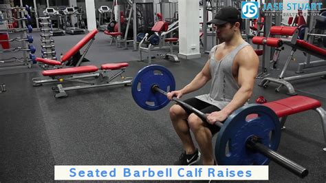 Seated Barbell Calf Raises Youtube