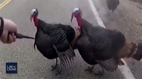 Top 4 Funniest Police Moments Caught On Bodycam - YouTube