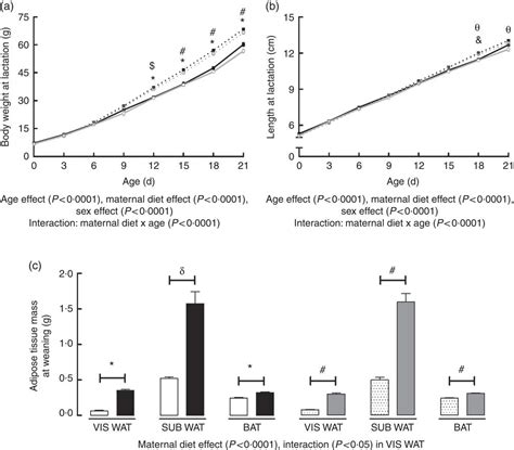 Perinatal Maternal High Fat Diet Induces Early Obesity And Sex Specific Alterations Of The