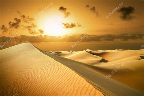 Gold Desert Sunset Beach — Stock Photo © Logray 9407677