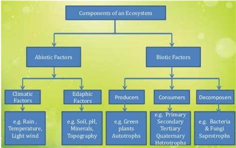 What Are The Four Components Of Environment Design Talk