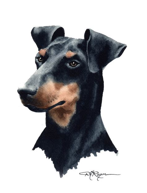 Manchester Terrier Art Print By Watercolor Artist Dj Rogers Etsy