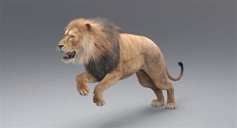 Lion Rigged Fur 3d Model — Missset