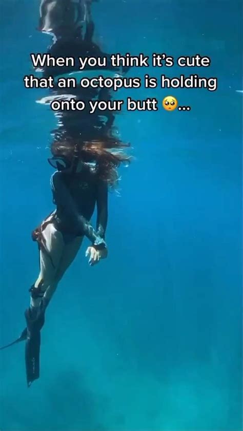 Octopus Sticks On Woman S Butt Underwater Jukin Licensing