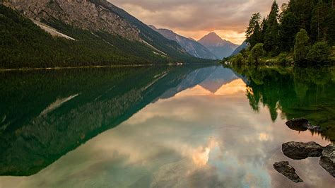 Hd Wallpaper Greens Forest Trees Mountains Lake Palm Trees Rocks