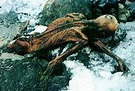 千年謎團！最古老的謀殺案 「冰人奧茲」死因大突破 | 國際 | 三立新聞網 SETN.COM