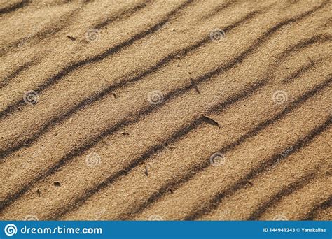 Texture Sandy Surface With The Ripples Formed By Wind Sand Sand Dunes