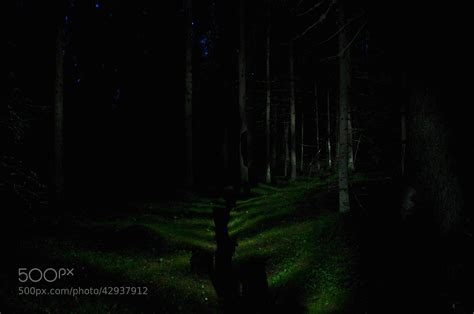 Photograph Nighttime Forest Path By Matias Korhonen On 500px