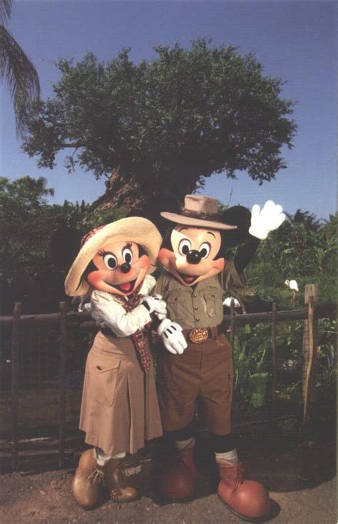My Favorite Disney Postcards Animal Kingdom Mickey And Minnie