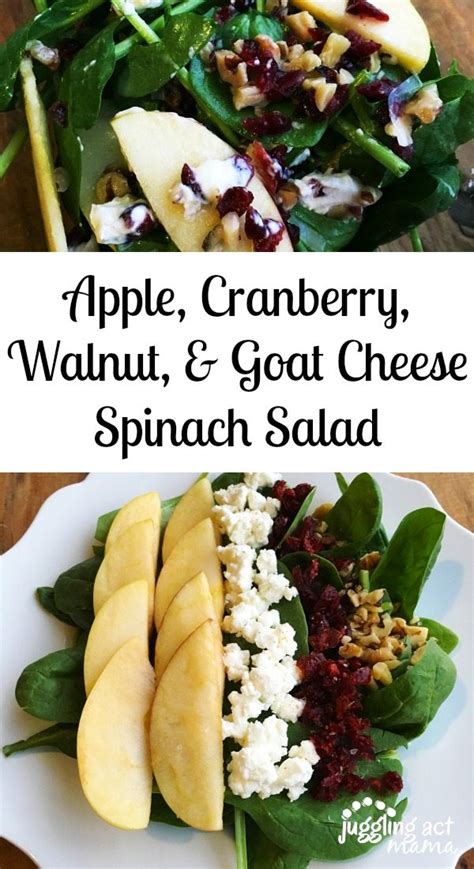 Season with more salt and pepper to taste. Apple, Cranberry, Walnut, and Goat Cheese Spinach Salad ...