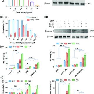 Alternatively search google for plme. pLME nanocapsules are biocompatible. (a) Dose-dependent ...