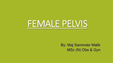 Female Pelvis Ppt