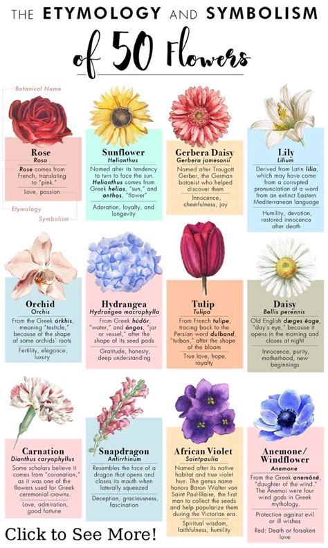 Pinterest Different Kinds Of Flowers Flower Meanings Flower Guide