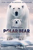Polar Bear - Película 2022 - Cine.com