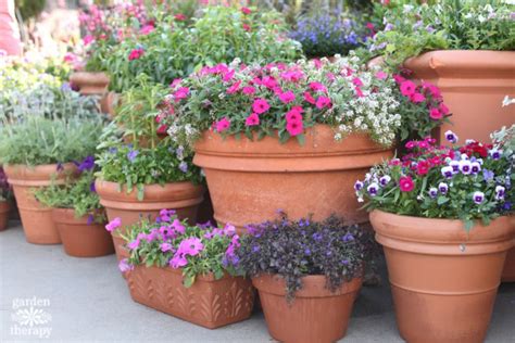The Secrets To A Successful Container Garden Eco Save Earth