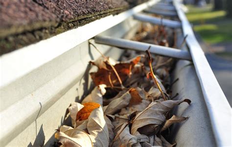 The children thought they were. 3 Wacky Tricks To Clean Gutters | Affordable Gutter Cleaning