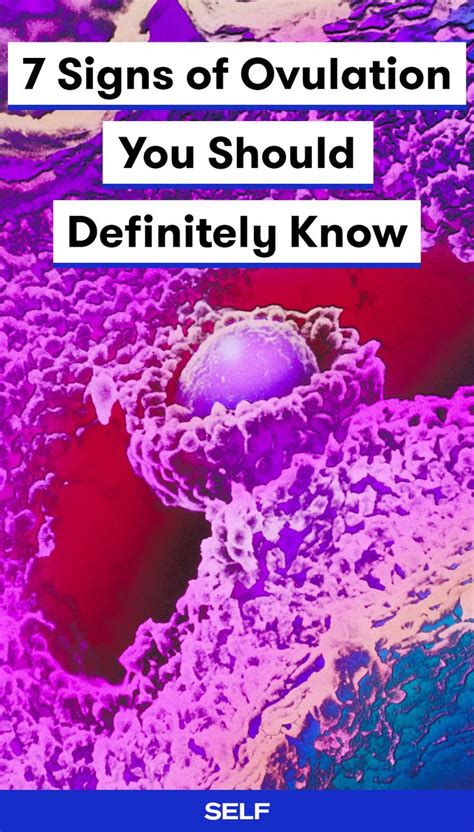 It is good to know what is these are screening tests (looking for signs of cervical cancer) and not diagnostic (confirming. Pin on Health & Wellness