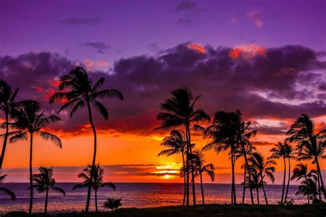 Hawaii Sunset Wallpapers Top Những Hình Ảnh Đẹp