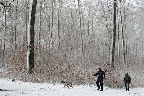 Man Walking The Dog In Winter Under Snow In Denmark