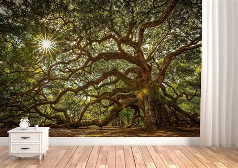 Old Oak Tree Vinyl Wallpaper Forest Wall Mural Forest Etsy Forest Wall Mural Forest Wall