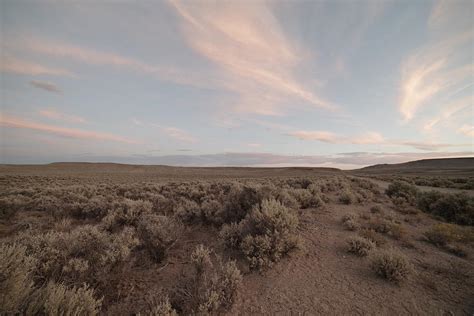 Sunset In The High Desert Photograph By Daniel Sloane Fine Art America