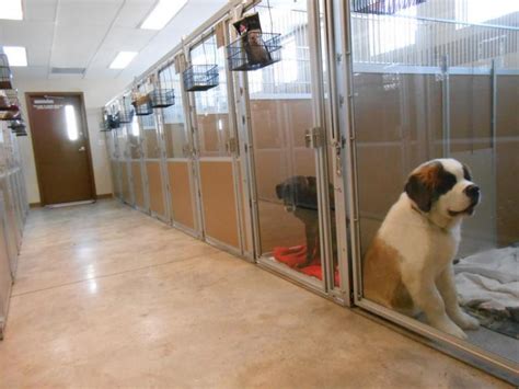 Holiday inn philadelphia cherry hill. pet hotel near me - Ideal Pet Care