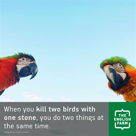 Say, two birds are real deep lovers. Kill two birds with one stone | The English Farm